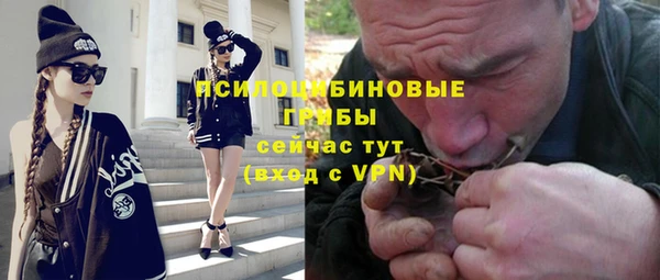 гашик Волоколамск