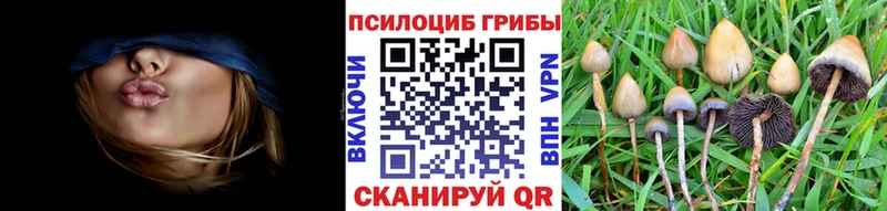 купить  сайты  маркетплейс клад  Псилоцибиновые грибы Magic Shrooms  Первоуральск  МЕГА ССЫЛКА 