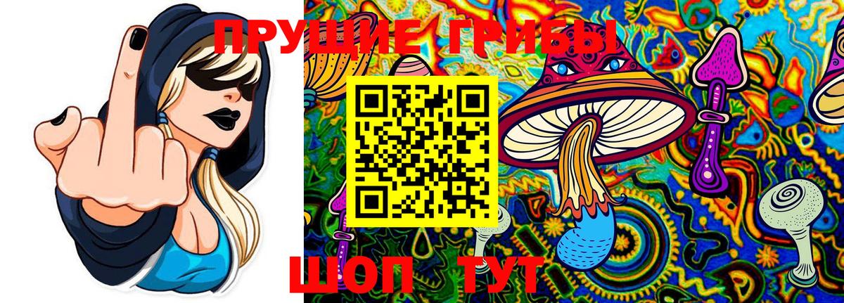 Псилоцибиновые грибы мицелий Первоуральск